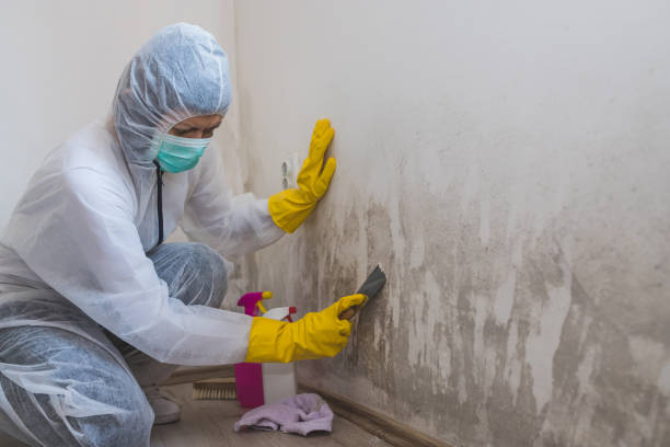 Home Mold Removal in Cavalero, WA
