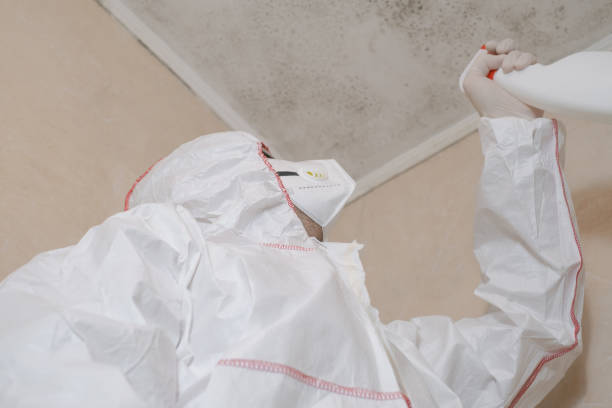 Home Mold Removal in Cavalero, WA