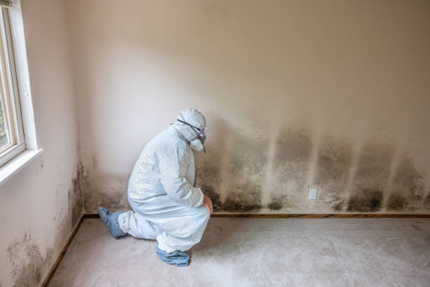 Best Mold Cleaning Services  in Cavalero, WA