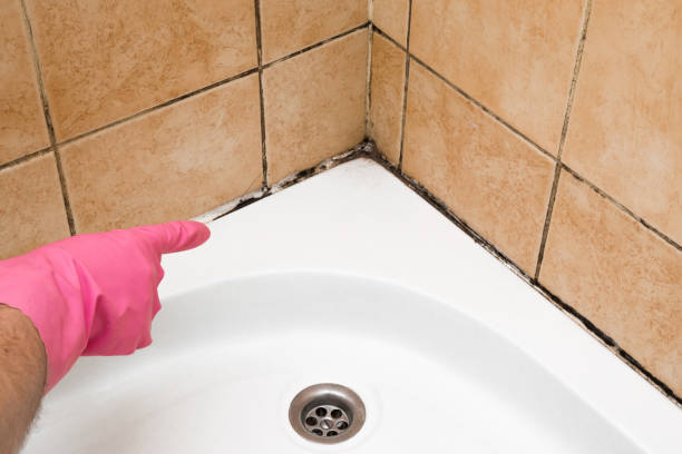 Best Mold Remediation  in Cavalero, WA